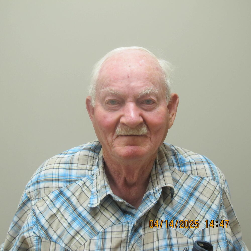Primary photo of LARRY ELLIS PETTIBON - Please see physical description.