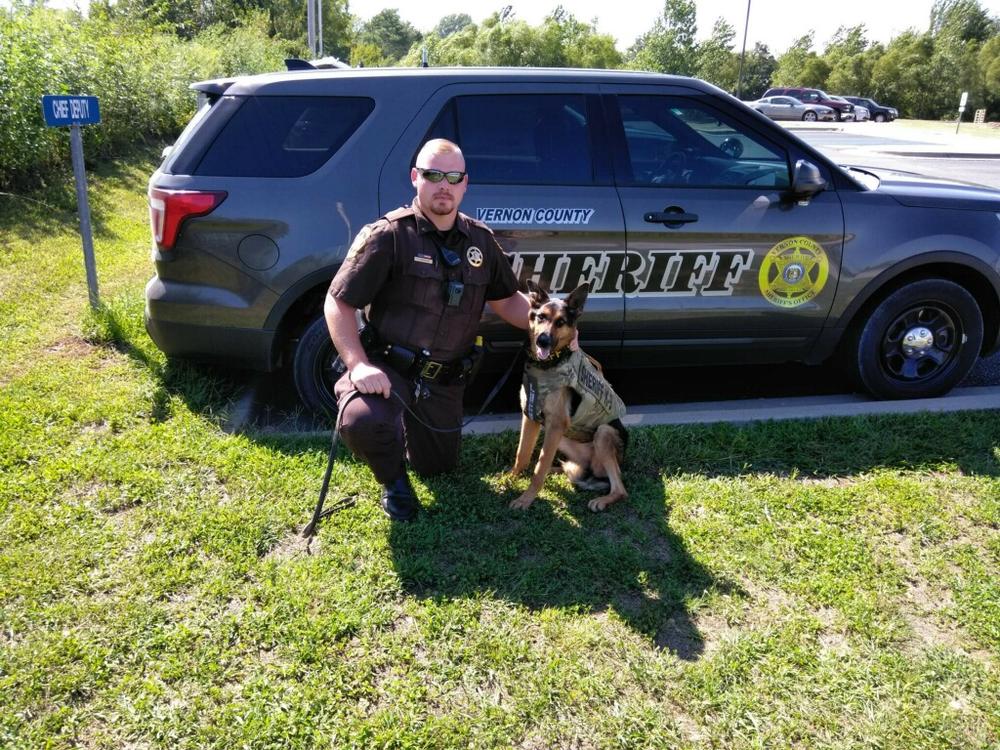K9 Rika with the new protective vest.